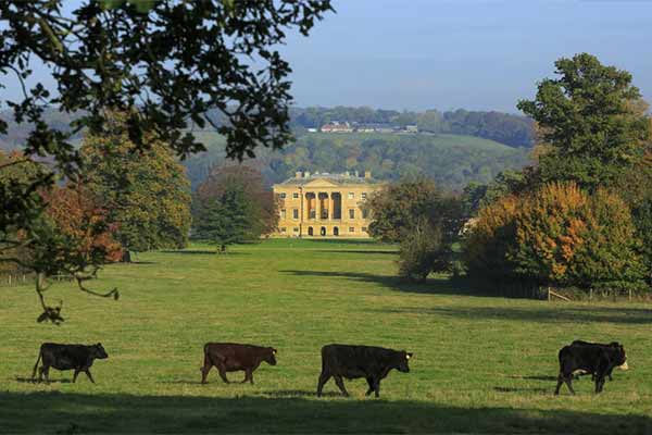 Basildon Park