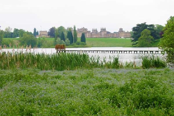 Blenheim Palace
