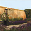 The Walled Garden at Cowdray