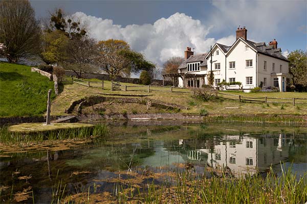 Duncton Mill