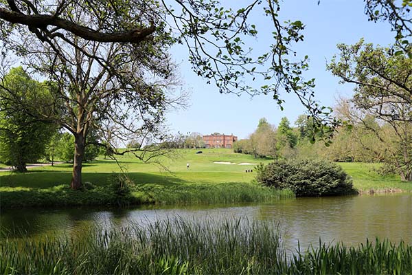 The Grove