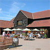 Mersea Island Vineyard
