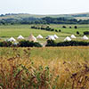 The Party Field