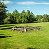 Springfield Park
