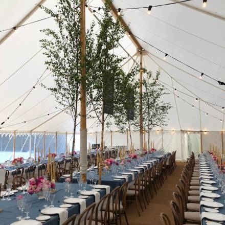 Decorated trestle tables and tall trees