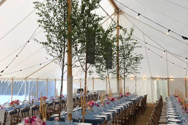 Decorated trestle tables and tall trees