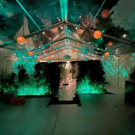 Reception tent lit up with a green wash