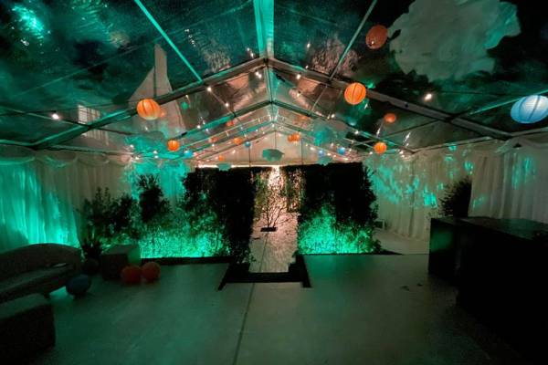 Reception tent lit up with a green wash