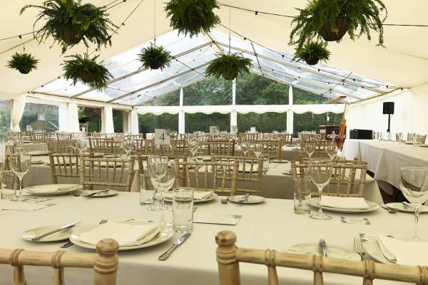 Frame tent with hanging ferns