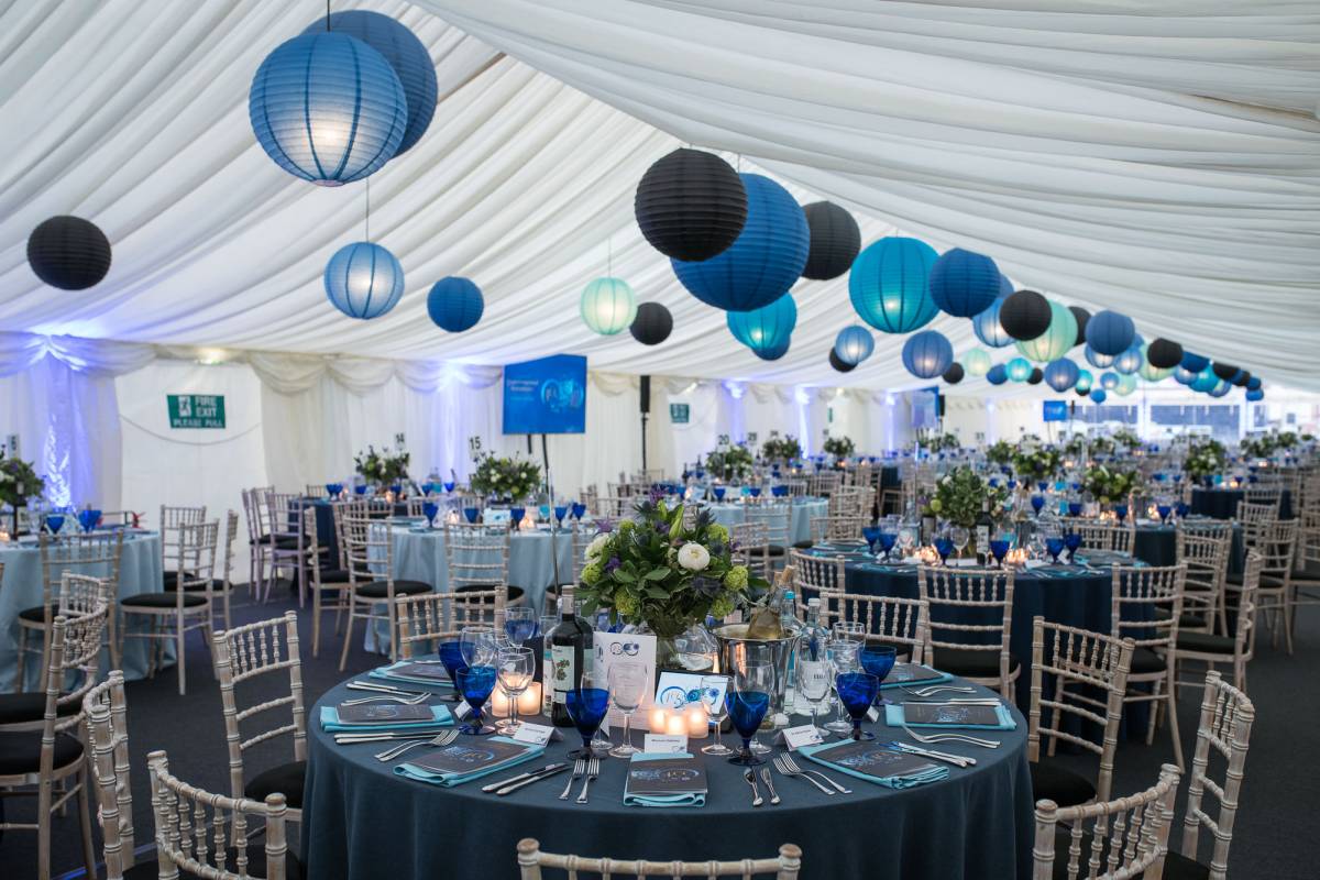 Colour themed ball