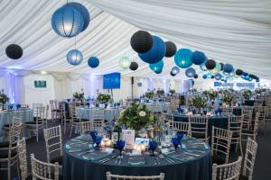Colour themed ball