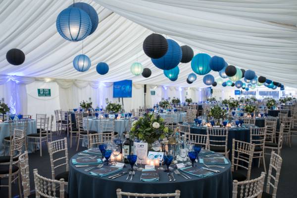 Colour themed ball