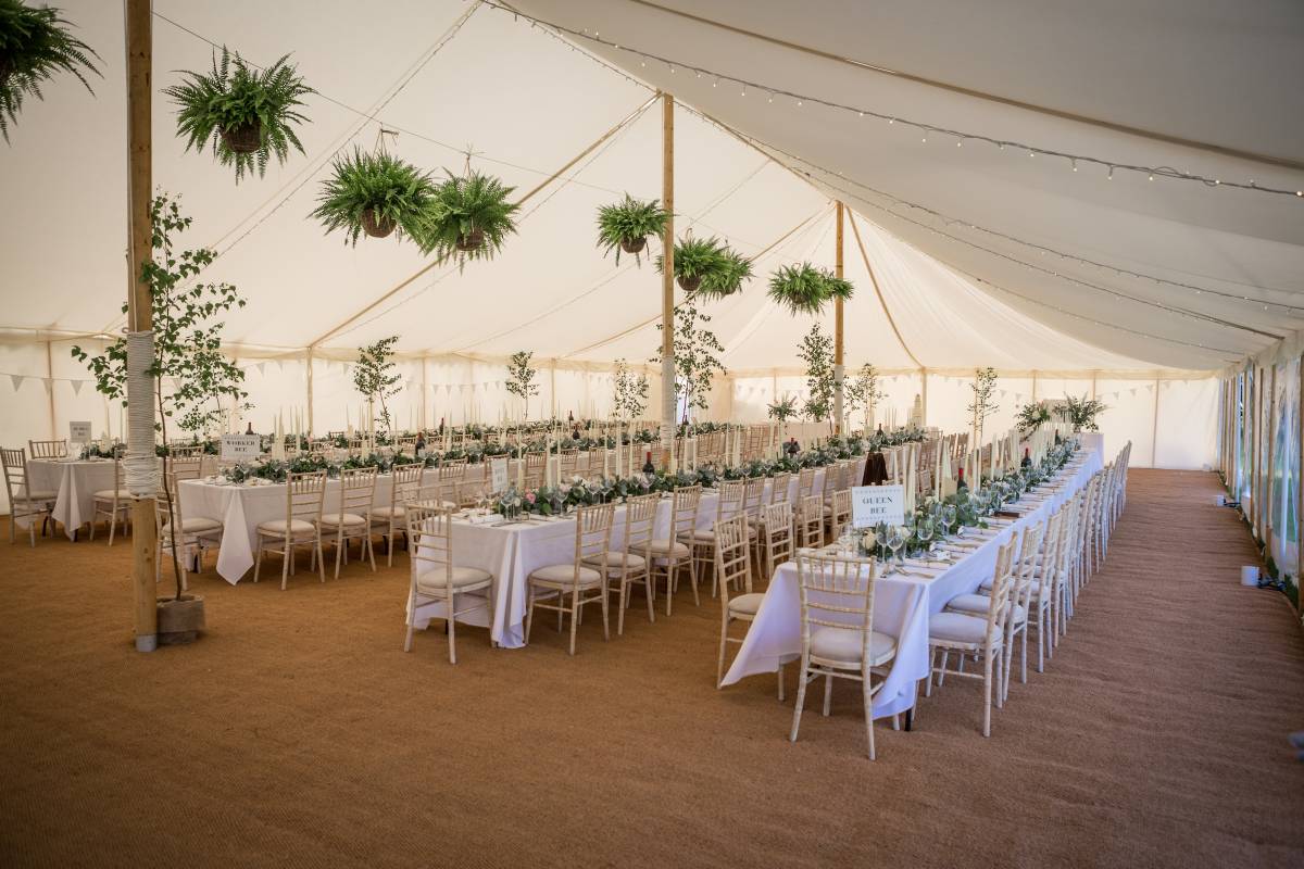 Simple marquee style with ferns hanging from the roof