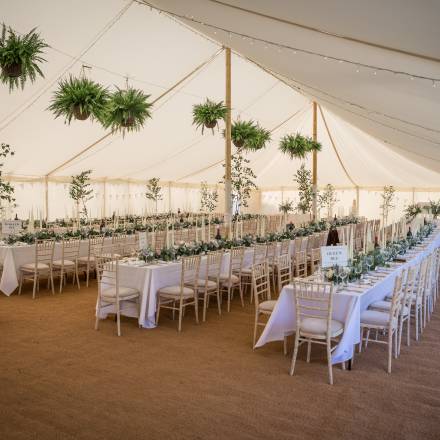 Simple marquee style with ferns hanging from the roof