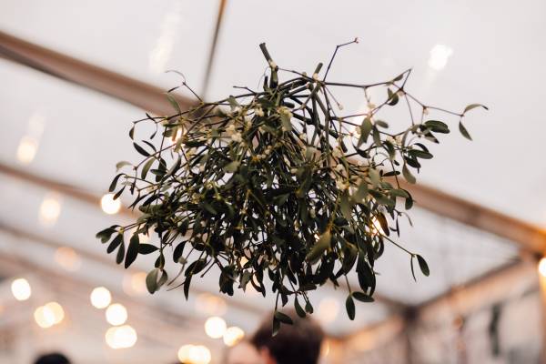 Mistletoe hanging from the roof at a winter wedding