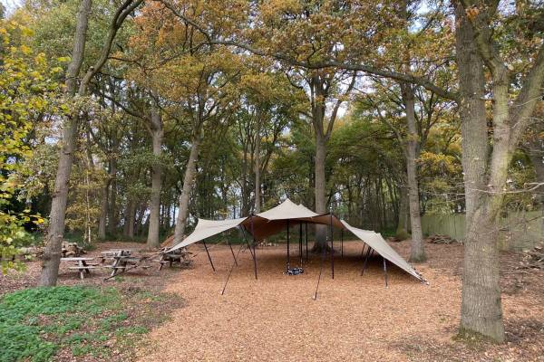 Open sided stretch tent in woodland