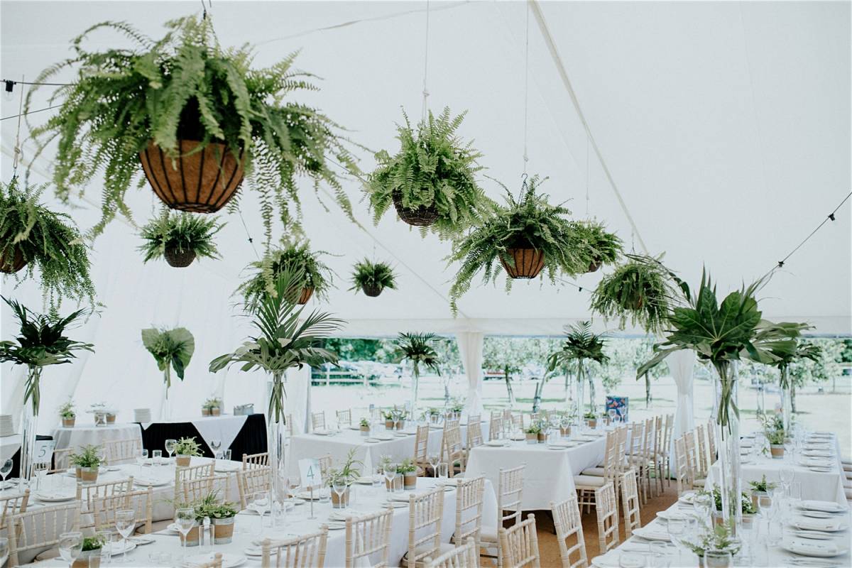Wedding with hanging ferns in pots