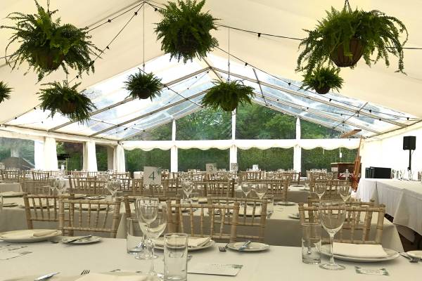 Ferns hanging from tent roof