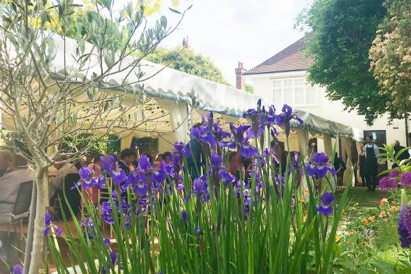 Frame tent in narrow London garden