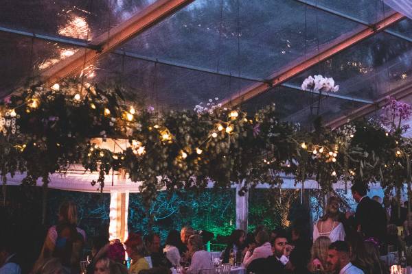 Festoon lighting strung through greenery