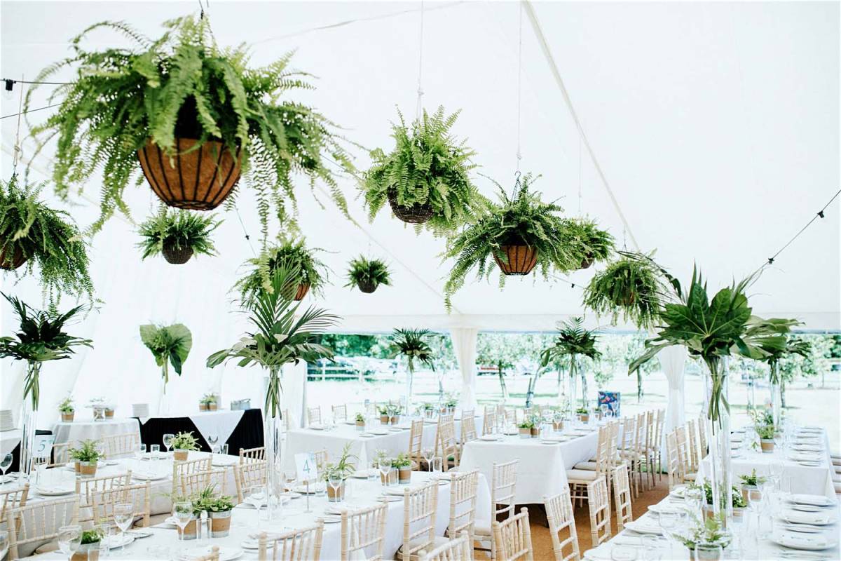 Interior of a frame marquee with one open wall and ferns hanging from the roof. Very elegant!