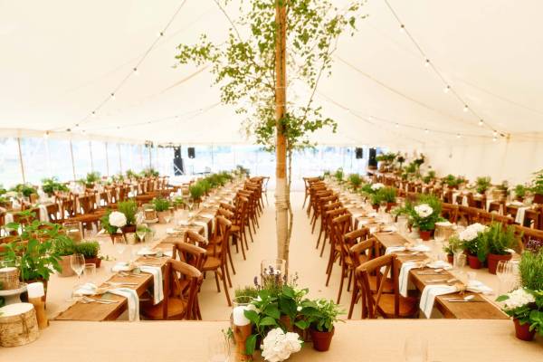 Fashionable wedding marquee with rustic tables, cross back chairs, trees and low key floral arrangments