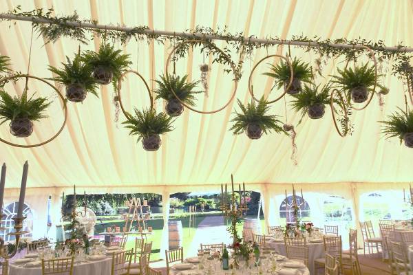 Decoration with hanging ferns in pots and hanging rings