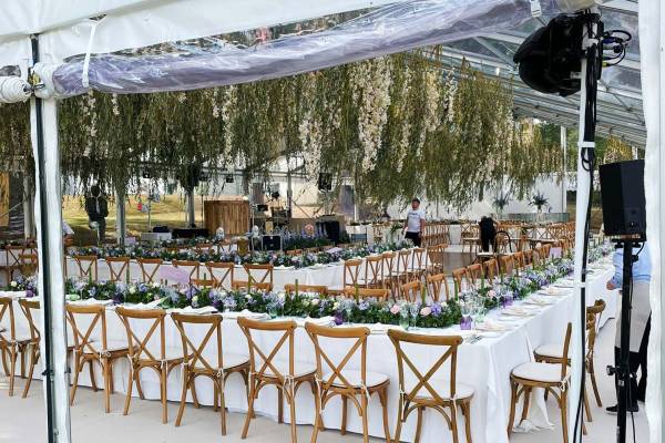 Dense hanging foliage hanging from the clear roof of the marquee